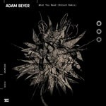 cover: Adam Beyer - What You Need (K?lsch Remix)