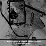 cover: Magnum Opus|Ravetop - Fear In Our Veins