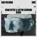 cover: Sam Paganini - Rave (Adam Beyer And Layton Giordani Remix)