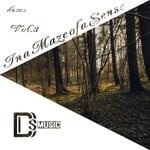 cover: Various - In A Maze Of A Sense, Vol 3