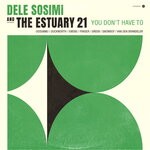 cover: Dele Sosimi & The Estuary 21 - You Don't Have To