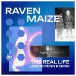 cover: Dave Lee Zr|Raven Maize - The Real Life