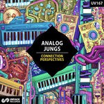 cover: Analog Jungs - Connection / Perspectives