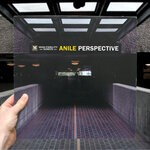 cover: Anile - Perspective