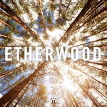 cover: Etherwood - Etherwood