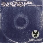 cover: Big D|Harry Hard - Into The Night (The Complete Remixes)