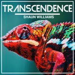 cover: Shaun Williams - Transcendence