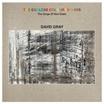 cover: David Gray - Place To Be