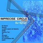 cover: Dj Sylver - Imprecise Circle (Remixes)