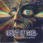 cover: Various - Leeloop: Best Of Goa