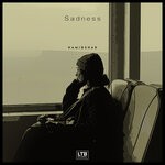 cover: Hamidshax - Sadness