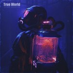 cover: True World - Consequences Of 21st Century