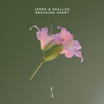 cover: Jerro|Shallou - Breaking Apart