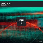 cover: Aiokai - Realms 2021