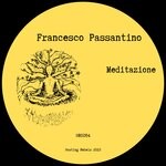 cover: Francesco Passantino - Meditazione (Original Mix)