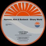 cover: Hamoon|Aliot|Bunbeck - Binary World