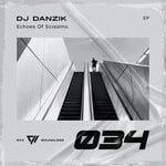 cover: Dj Danzik - Echoes Of Screams