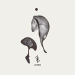 cover: Various - Lichen