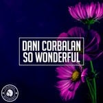 cover: Dani Corbalan - So Wonderful