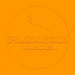 cover: Various - Spirngbok Records Various Signature