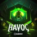 cover: Various - SUBHIVE: Havoc