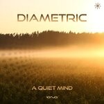 cover: Diametric - A Quiet Mind