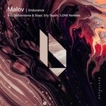 cover: Malov - Endurance