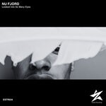 cover: Nu Fjord - Looked Into So Many Eyes