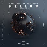 cover: Ghost That Never Sleeps - Mellow