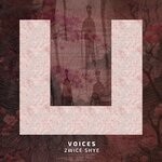 cover: 2wice Shye - Voices