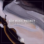 cover: Sem Music Project - What Is Wrong With Them