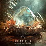 cover: Dragota - Wisdom Of Nature