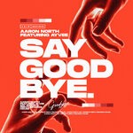 cover: Aaron North|Ayvee - Say Goodbye (Extended Mix)