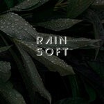 cover: Roberts Jna - Rain Soft