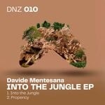 cover: Davide Mentesana - Into The Jungle