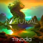 cover: Trinodia - Natural