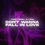 cover: Dj Rae|Todd Terry - Don't Wanna Fall In Love