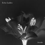 cover: Echo Ladies - Awake