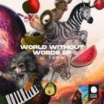 cover: Iltoro - World Without Words