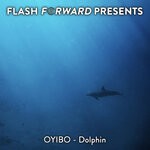 cover: Oyibo - Dolphin