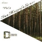 cover: Various - In A Maze Of A Sense, Vol 5