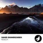 cover: Vahid Ghandizadeh - Remedy