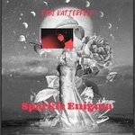 cover: Fabi Katterfeld - Sparkle Enigma