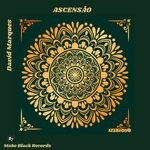 cover: David Marques - Ascensao