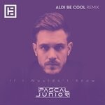 cover: Pascal Junior - If I Wouldn't Know (Aldi Be Cool Remix)