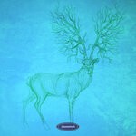 cover: Various - Reconnection