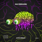 cover: Naj Ebrahim - Aya's Dream