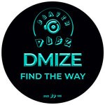 cover: Dmize - Find The Way