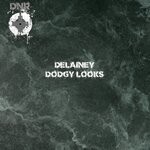 cover: Delainey - Dodgy Looks