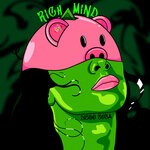 cover: Diego Sosa - Rich Mind